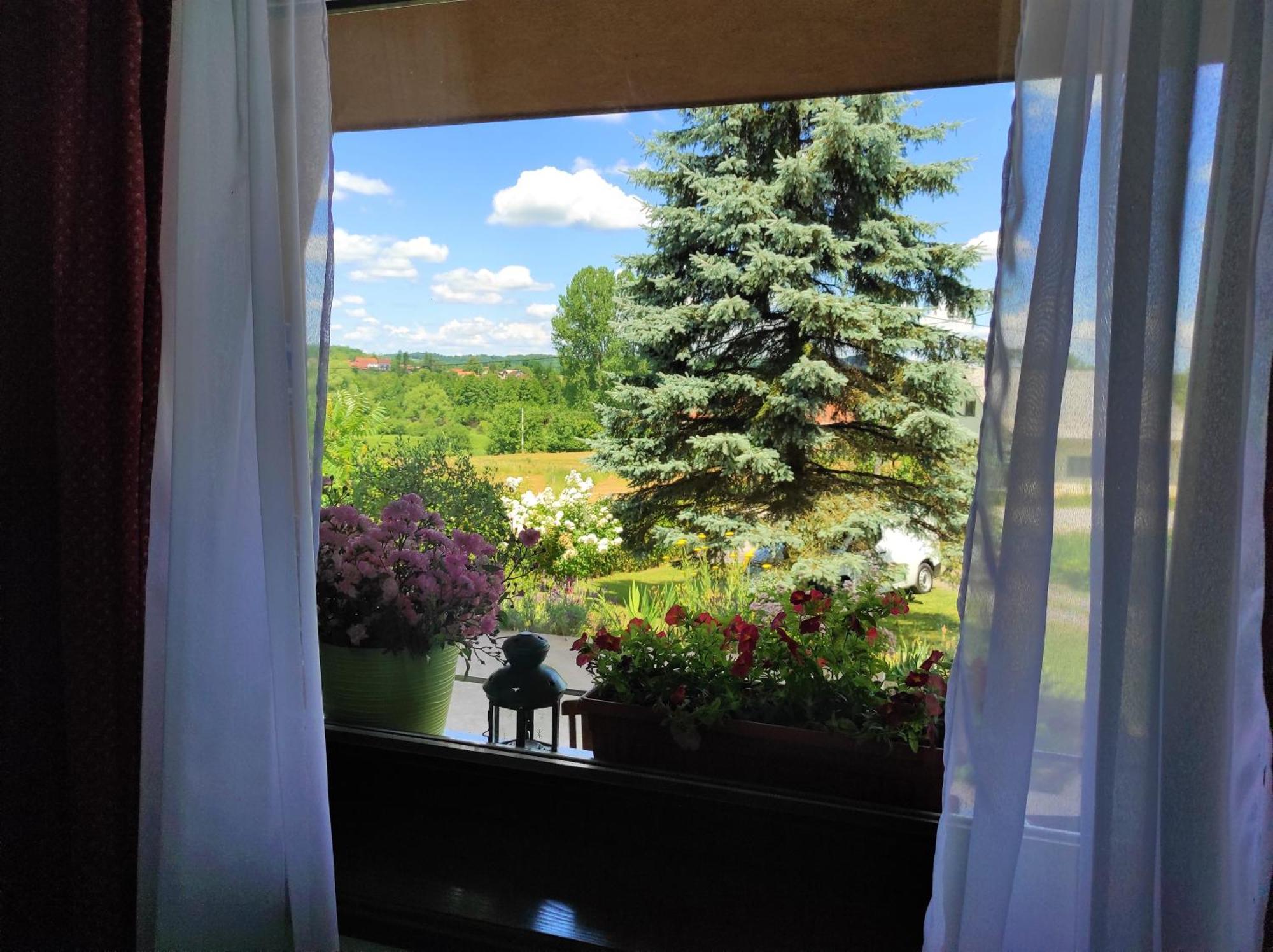 Apartment Stipcic-Mreznicki Brig Duga Resa Exterior photo